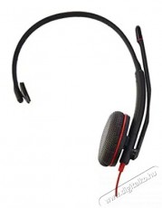 HP Poly Blackwire 3215 mono USB-C, 3,5mm, USB-C/A adapter Audio-Video / Hifi / Multim&eacute;dia - F&uuml;l &eacute;s Fejhallgat&oacute;k - Fejhallgat&oacute; mikrofonnal / headset - 518757