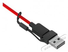 HP Poly Blackwire 3215 mono USB-C, 3,5mm, USB-C/A adapter Audio-Video / Hifi / Multim&eacute;dia - F&uuml;l &eacute;s Fejhallgat&oacute;k - Fejhallgat&oacute; mikrofonnal / headset - 518757