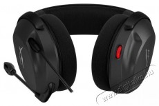 HyperX Cloud Stinger 2 Core (PC) Audio-Video / Hifi / Multim&eacute;dia - F&uuml;l &eacute;s Fejhallgat&oacute;k - Fejhallgat&oacute; - 509965