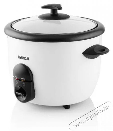 Hyundai RC 150 Konyhai term&eacute;kek - Konyhai kisg&eacute;p (s&uuml;t&eacute;s / főz&eacute;s / hűt&eacute;s / &eacute;telk&eacute;sz&iacute;t&eacute;s) - Rizsfőző - 504759