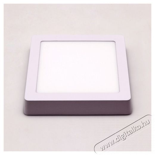 Iris Lighting PLSUS-12W 12W/820lm/4000K mennyezeti n&eacute;gyzet alak&uacute; LED panel H&aacute;ztart&aacute;s / Otthon / K&uuml;lt&eacute;r - Vil&aacute;g&iacute;t&aacute;s / elektromoss&aacute;g - Fali / mennyezeti l&aacute;mpa - 388188