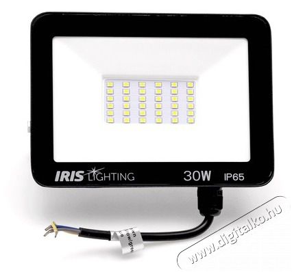Iris Lighting Z plus 10824679 30W 4000K 2400lm LED reflektor H&aacute;ztart&aacute;s / Otthon / K&uuml;lt&eacute;r - Vil&aacute;g&iacute;t&aacute;s / elektromoss&aacute;g - Kerti / k&uuml;lt&eacute;ri l&aacute;mpa - 388154