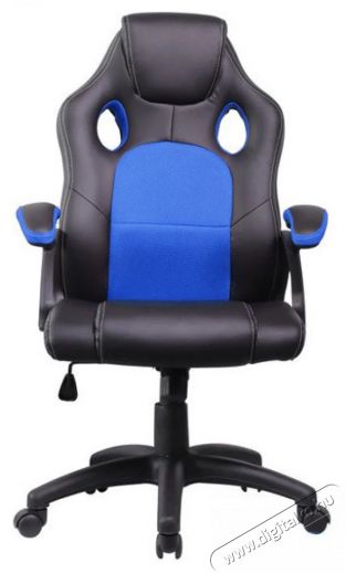 Iris GCH102BK fekete / k&eacute;k gamer sz&eacute;k Iroda &eacute;s sz&aacute;m&iacute;t&aacute;stechnika - Egy&eacute;b sz&aacute;m&iacute;t&aacute;stechnikai term&eacute;k - 387594