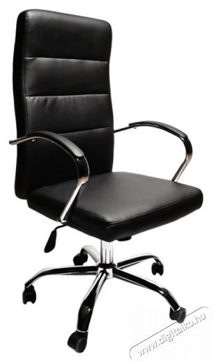 IRISOFFICE Nuala Fekete textilbőr főn&ouml;ki fotel Iroda &eacute;s sz&aacute;m&iacute;t&aacute;stechnika - Egy&eacute;b sz&aacute;m&iacute;t&aacute;stechnikai term&eacute;k - 395681