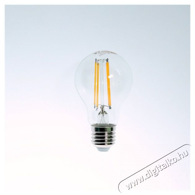Iris Lighting Filament A Bulb E27 FLA60 8W/3000K/720lm LED f&eacute;nyforr&aacute;s H&aacute;ztart&aacute;s / Otthon / K&uuml;lt&eacute;r - Vil&aacute;g&iacute;t&aacute;s / elektromoss&aacute;g - E27 foglalat&uacute; izz&oacute; - 476733