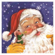 Iris Daisy Kar&aacute;csonyi szalv&eacute;ta, 33x33cm, 20db/csomag, 3 r&eacute;tegű, vegyes mint&aacute;k Konyhai term&eacute;kek - Egy&eacute;b / Konyhai kieg&eacute;sz&iacute;tő - 507367