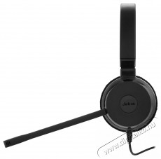 Jabra Evolve 20 MS Stereo USB-A Audio-Video / Hifi / Multim&eacute;dia - F&uuml;l &eacute;s Fejhallgat&oacute;k - Fejhallgat&oacute; mikrofonnal / headset - 503353