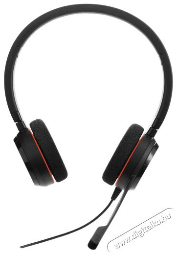 Jabra Evolve 20 MS Stereo USB-A Audio-Video / Hifi / Multim&eacute;dia - F&uuml;l &eacute;s Fejhallgat&oacute;k - Fejhallgat&oacute; mikrofonnal / headset - 503353