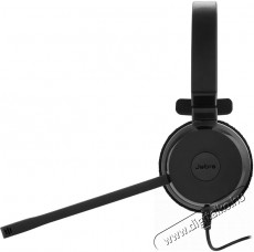 Jabra Evolve 20 MS Mono USB-A Audio-Video / Hifi / Multim&eacute;dia - F&uuml;l &eacute;s Fejhallgat&oacute;k - Fejhallgat&oacute; mikrofonnal / headset - 509991