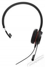 Jabra Evolve 30 II, Mono MS, USB C/A adapter Audio-Video / Hifi / Multim&eacute;dia - F&uuml;l &eacute;s Fejhallgat&oacute;k - Fejhallgat&oacute; - 518814