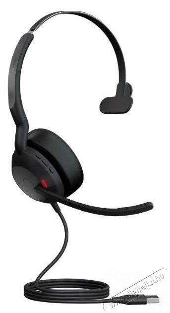 Jabra Evolve2 50 USB-A MS Mono Audio-Video / Hifi / Multim&eacute;dia - F&uuml;l &eacute;s Fejhallgat&oacute;k - Fejhallgat&oacute; - 518811