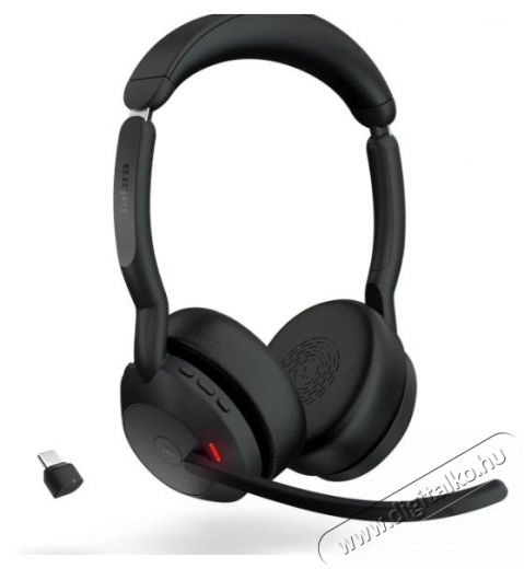 Jabra Evolve2 55 LINK380C MS Stereo Audio-Video / Hifi / Multim&eacute;dia - F&uuml;l &eacute;s Fejhallgat&oacute;k - Fejhallgat&oacute; - 518803