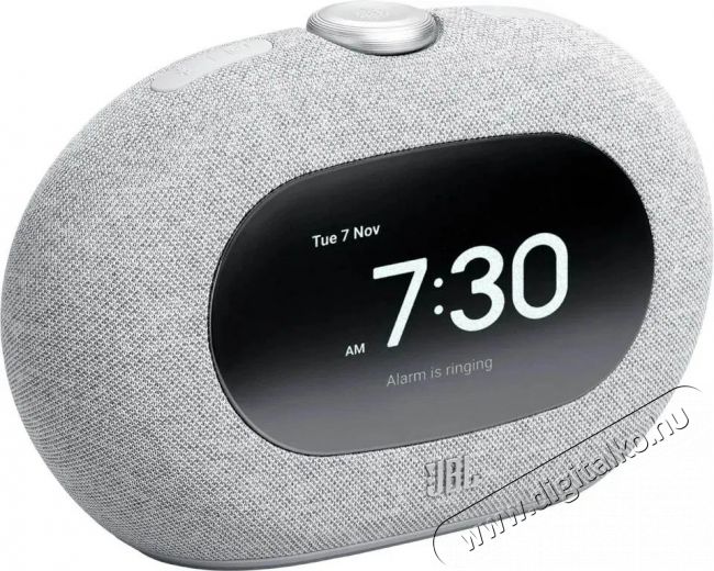 JBL Horizon3 Grey Audio-Video / Hifi / Multim&eacute;dia - R&aacute;di&oacute; / &oacute;r&aacute;s r&aacute;di&oacute; - &Eacute;bresztő&oacute;r&aacute;s r&aacute;di&oacute; - 525054