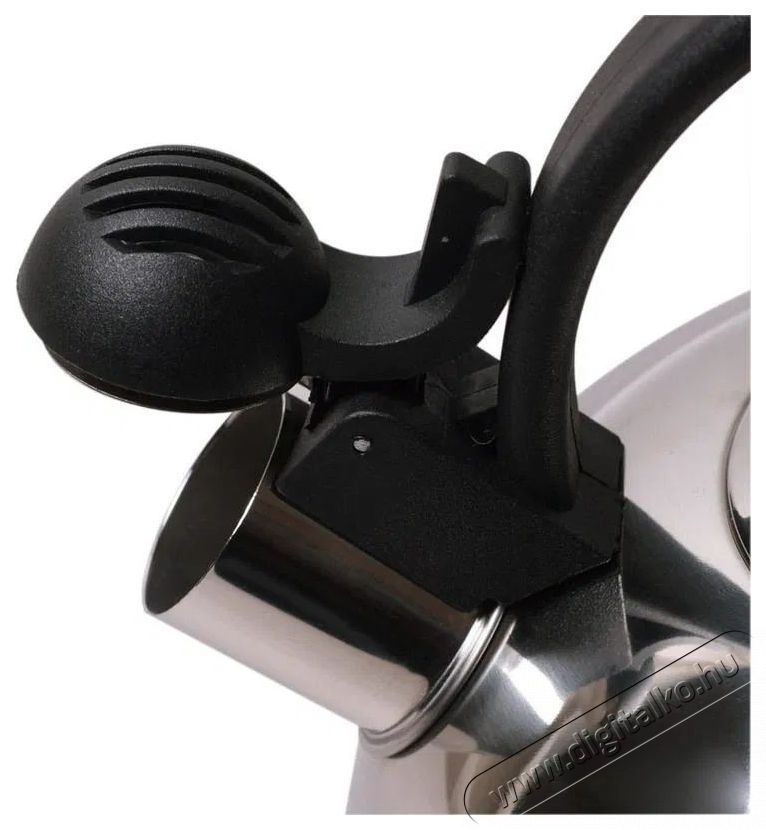 Kamille Rozsdamentes ac&eacute;l, f&uuml;ty&uuml;l, 2,5 l, 0679 Konyhai term&eacute;kek - V&iacute;zforral&oacute; / teafőző - 528710