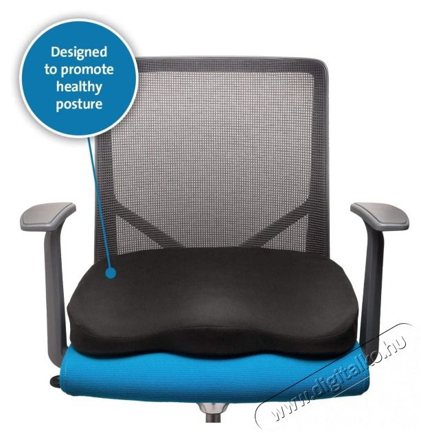 Kensington Ergo mem&oacute;riahabos &uuml;lőp&aacute;rna Sz&eacute;ps&eacute;g&aacute;pol&aacute;s / Eg&eacute;szs&eacute;g - Massz&iacute;roz&aacute;s / relax&aacute;ci&oacute; - Egy&eacute;b massz&iacute;roz&oacute; - 432778