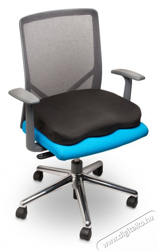 Kensington Ergo mem&oacute;riahabos &uuml;lőp&aacute;rna Sz&eacute;ps&eacute;g&aacute;pol&aacute;s / Eg&eacute;szs&eacute;g - Massz&iacute;roz&aacute;s / relax&aacute;ci&oacute; - Egy&eacute;b massz&iacute;roz&oacute; - 432778