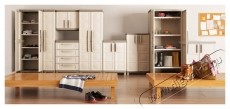 Keter Excellence 4 polcos szekr&eacute;ny 1 ajt&oacute;s 241050, 12 kg/polc H&aacute;ztart&aacute;s / Otthon / K&uuml;lt&eacute;r - Egy&eacute;b h&aacute;ztart&aacute;si term&eacute;k - 535385