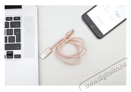KIKKERLAND US142-RG-EU 1m-es r&oacute;zsasz&iacute;n Micro USB &eacute;s iPhone k&aacute;bel Iroda &eacute;s sz&aacute;m&iacute;t&aacute;stechnika - Sz&aacute;m&iacute;t&oacute;g&eacute;p tartoz&eacute;k - USB k&aacute;bel - 446966
