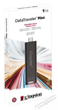 Kingston 1TB USB3.2 typeC DataTraveler Max (DTMAX/1TB) Flash Drive Mem&oacute;ria k&aacute;rtya / Pendrive - Pendrive - 443889