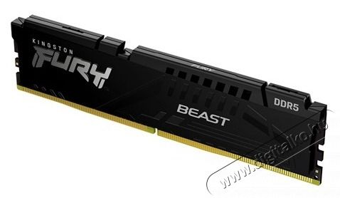 Kingston KF556C36BBEK2-32 RAM DDR5 Iroda &eacute;s sz&aacute;m&iacute;t&aacute;stechnika - Sz&aacute;m&iacute;t&oacute;g&eacute;p tartoz&eacute;k - Mem&oacute;ria - 498493