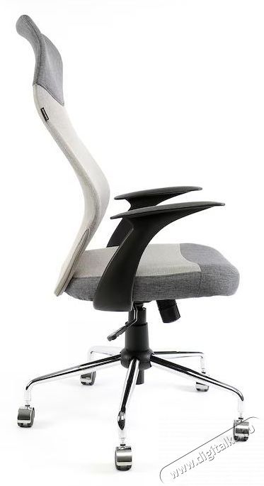 Kring Gloria Ergon&oacute;mikus Irodai Sz&eacute;k, Sz&uuml;rke Iroda &eacute;s sz&aacute;m&iacute;t&aacute;stechnika - Egy&eacute;b sz&aacute;m&iacute;t&aacute;stechnikai term&eacute;k - 536987