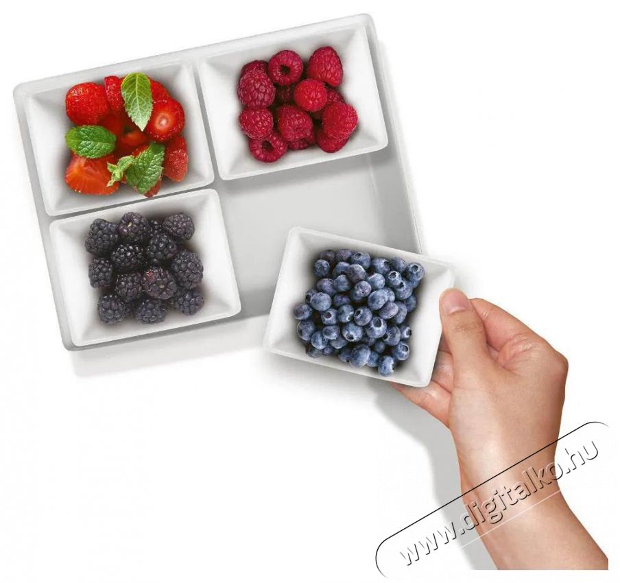 Lamart LT9220 DINE t&aacute;lal&oacute;t&aacute;l, 4 db, 20&times;15,5 cm Konyhai term&eacute;kek - Egy&eacute;b / Konyhai kieg&eacute;sz&iacute;tő - 522305