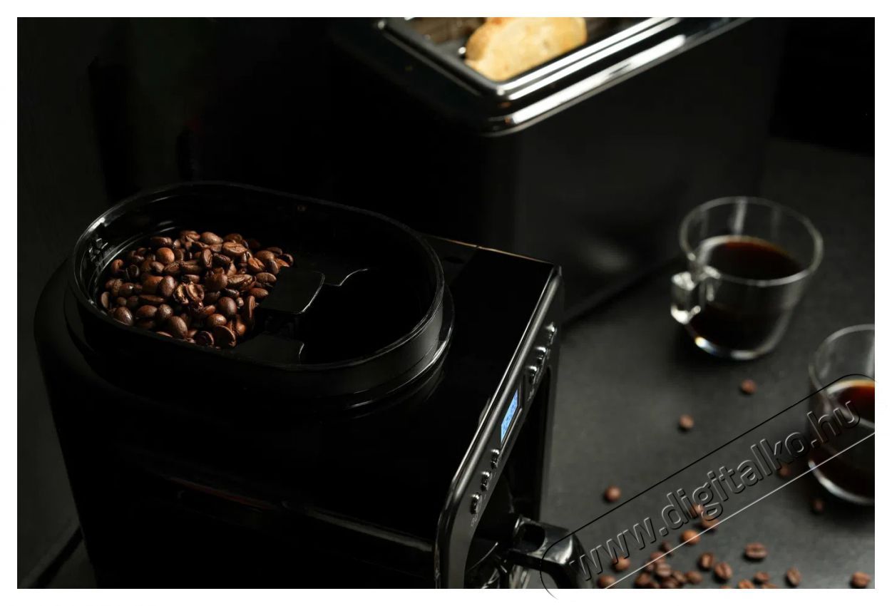 Lauben Grind&Drip Coffee Maker 600BB Konyhai term&eacute;kek - K&aacute;v&eacute;főző / k&aacute;v&eacute;&ouml;rlő / kieg&eacute;sz&iacute;tő - Filteres k&aacute;v&eacute;főző - 503583