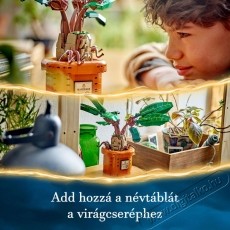 LEGO Harry Potter 76433 Mandrag&oacute;ra H&aacute;ztart&aacute;s / Otthon / K&uuml;lt&eacute;r - J&aacute;t&eacute;k / Sport - Kreat&iacute;v / k&eacute;szs&eacute;gfejlesztő j&aacute;t&eacute;k - 531433