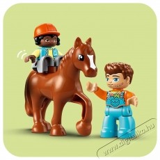LEGO DUPLO  10416 &Aacute;llatok gondoz&aacute;sa a farmon H&aacute;ztart&aacute;s / Otthon / K&uuml;lt&eacute;r - J&aacute;t&eacute;k / Sport - Kreat&iacute;v / k&eacute;szs&eacute;gfejlesztő j&aacute;t&eacute;k - 531904