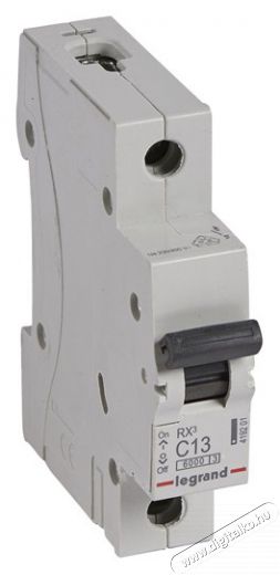Legrand 419201 RX3 C13 6kA BIC 1 p&oacute;lus&uacute; kismegszak&iacute;t&oacute; H&aacute;ztart&aacute;s / Otthon / K&uuml;lt&eacute;r - Vil&aacute;g&iacute;t&aacute;s / elektromoss&aacute;g - H&aacute;l&oacute;zati eloszt&oacute; / hosszabb&iacute;t&oacute; / adapter - 391741