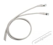 Legrand Cat5e (F/UTP) sz&uuml;rke 3 m&eacute;ter LCS3 &aacute;rny&eacute;kolt patch k&aacute;bel Iroda &eacute;s sz&aacute;m&iacute;t&aacute;stechnika - H&aacute;l&oacute;zat - H&aacute;l&oacute;zati kieg&eacute;sz&iacute;tő - 392760