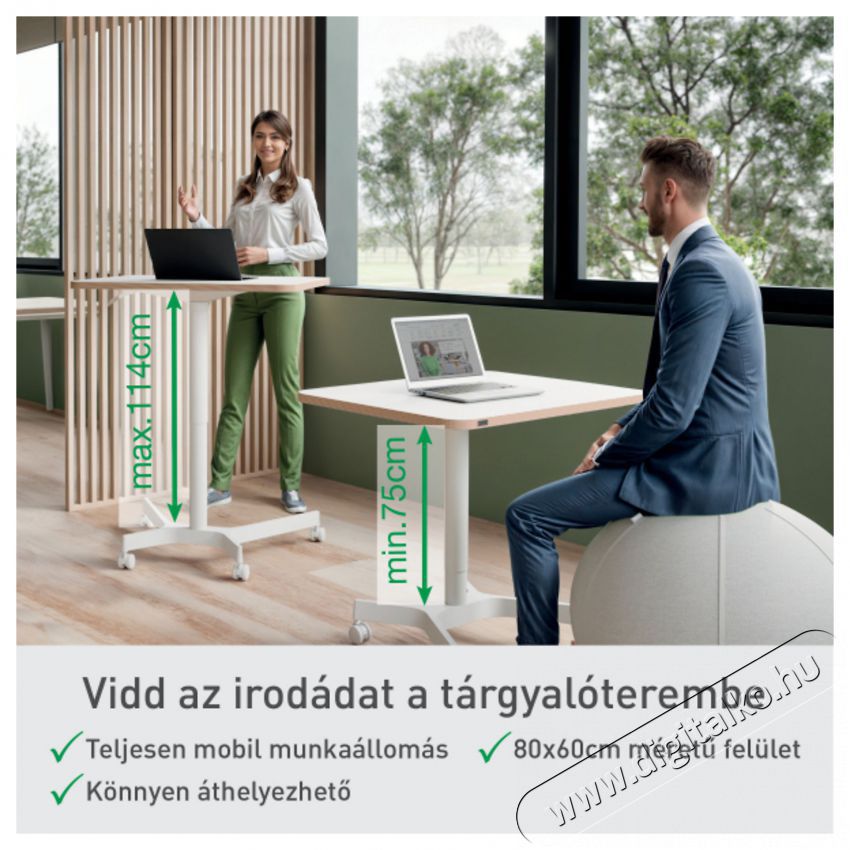 Leitz Ergo &Uuml;lő/&aacute;ll&oacute; asztal, gurul&oacute;s, 80&times;60 cm, feh&eacute;r Fot&oacute;-Vide&oacute; kieg&eacute;sz&iacute;tők - &Aacute;llv&aacute;ny - Asztali &aacute;llv&aacute;ny - 518374