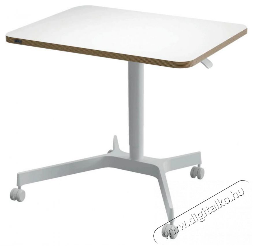 Leitz Ergo &Uuml;lő/&aacute;ll&oacute; asztal, gurul&oacute;s, 80&times;60 cm, feh&eacute;r Fot&oacute;-Vide&oacute; kieg&eacute;sz&iacute;tők - &Aacute;llv&aacute;ny - Asztali &aacute;llv&aacute;ny - 518374