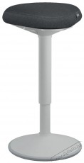 Leitz ERGO Active Standing Stook - vil&aacute;gossz&uuml;rke irodasz&eacute;k - Iroda &eacute;s sz&aacute;m&iacute;t&aacute;stechnika - Egy&eacute;b sz&aacute;m&iacute;t&aacute;stechnikai term&eacute;k - 522352