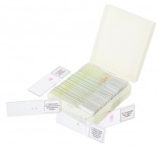 LEVENHUK Discovery DPS 25. tárgylemez készlet - Távcsövek / Optika - Teleszkóp / mikroszkóp kiegészítő - 461958