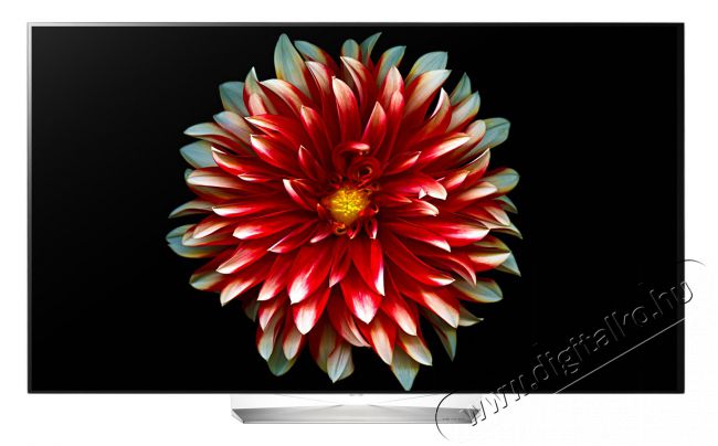 LG OLED55EG9A7V Full HD Smart OLED telev&iacute;zi&oacute; Telev&iacute;zi&oacute;k - OLED telev&iacute;zi&oacute; - 1080p Full HD felbont&aacute;s&uacute; - 330973