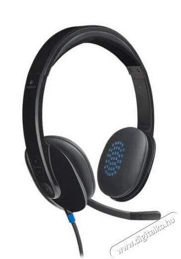 Logitech H540 USB vezet&eacute;kes headset (981-000480) Audio-Video / Hifi / Multim&eacute;dia - F&uuml;l &eacute;s Fejhallgat&oacute;k - Fejhallgat&oacute; mikrofonnal / headset - 321782