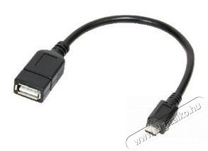 LogiLink 2 portos USB2.0 hub Micro USB k&aacute;bellel Iroda &eacute;s sz&aacute;m&iacute;t&aacute;stechnika - Sz&aacute;m&iacute;t&oacute;g&eacute;p tartoz&eacute;k - USB k&aacute;bel - 387463