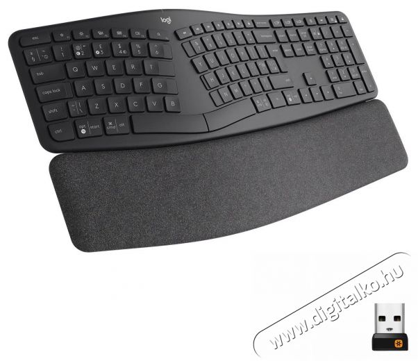 Logitech Ergo K860 Wireless Split Keyboard - US INTL Tv kieg&eacute;sz&iacute;tők - T&aacute;vvez&eacute;rlő - Wireless billentyűzet - 503377