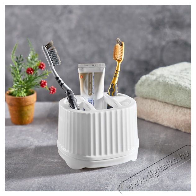 Luxplastic IRIS L-00848 Fogkefetart&oacute;, feh&eacute;r, sz&uuml;rke vagy b&eacute;zs sz&iacute;nű Sz&eacute;ps&eacute;g&aacute;pol&aacute;s / Eg&eacute;szs&eacute;g - Sz&aacute;j / fog &aacute;pol&aacute;s - Kieg&eacute;sz&iacute;tő - 501805