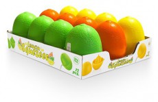 Luxplastic IRIS L-00217 Limonex citrom facsar&oacute;, z&ouml;ld, narancs vagy citroms&aacute;rga sz&iacute;nű Konyhai term&eacute;kek - Konyhai kisg&eacute;p (elők&eacute;sz&iacute;t&eacute;s / feldolgoz&aacute;s) - Citrus / gy&uuml;m&ouml;lcs facsar&oacute; - 513881