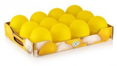 Luxplastic IRIS L-00395 citrom t&aacute;rol&oacute;doboz H&aacute;ztart&aacute;s / Otthon / K&uuml;lt&eacute;r - Lak&aacute;sfelszerel&eacute;s - T&aacute;rol&oacute; - 514698