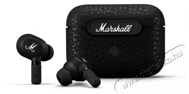 Marshall Minor IV Vezet&eacute;k n&eacute;lk&uuml;li f&uuml;l-/fejhallgat&oacute; Audio-Video / Hifi / Multim&eacute;dia - F&uuml;l &eacute;s Fejhallgat&oacute;k - Fejhallgat&oacute; mikrofonnal / headset - 500660