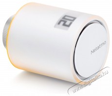 Netatmo Radiator Valves H&aacute;ztart&aacute;s / Otthon / K&uuml;lt&eacute;r - Okos otthon - Termoszt&aacute;t - 508197