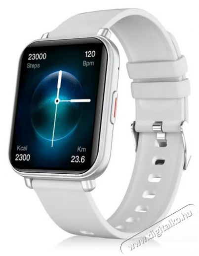 NICEBOY WATCH 4 Artic silver Mobil / Kommunik&aacute;ci&oacute; / Smart - Okos eszk&ouml;z - Okos&oacute;ra - 521821