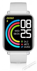 NICEBOY WATCH 4 Artic silver Mobil / Kommunik&aacute;ci&oacute; / Smart - Okos eszk&ouml;z - Okos&oacute;ra - 521821