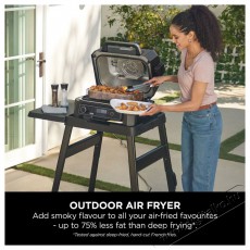 Ninja OG850EU Woodfire Pro XL Konyhai term&eacute;kek - S&uuml;tő-főzőlap, tűzhely (szabadon&aacute;ll&oacute;) - Mini s&uuml;tő / mini grill / mini konyha - 521851