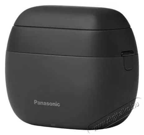 PANASONIC ES-PV3B-K803 Sz&eacute;ps&eacute;g&aacute;pol&aacute;s / Eg&eacute;szs&eacute;g - Szőrtelen&iacute;tő / borotva - F&eacute;rfi borotva - 510582
