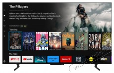 PANASONIC TB-65Z60AEG Telev&iacute;zi&oacute;k - OLED telev&iacute;zi&oacute; - UHD 4K felbont&aacute;s&uacute; - 512145