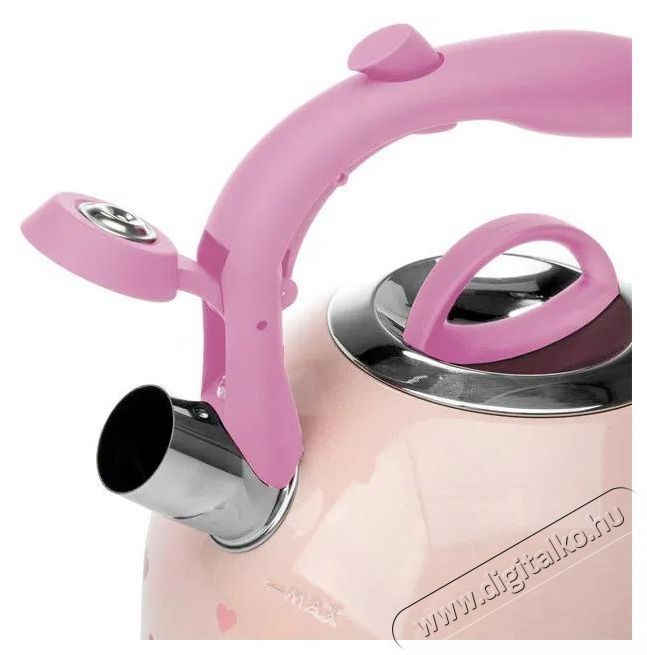 Paris Hilton 58520 Konyhai term&eacute;kek - V&iacute;zforral&oacute; / teafőző - 528825